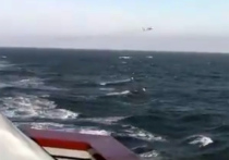 Российский бомбардировщик Су-24 совершил предупредительный вираж вблизи американского эсминца «Дональд Кук» в Черном море