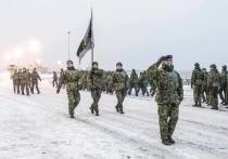 Международный батальон НАТО и эстонская армия провели совместные учения в условиях, близких к российской зиме