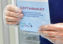 Два медработника больницы подмосковной Электростали, а также шесть подельников задержаны за продажу липовых сертификатов о вакцинации