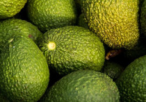 Врач-невролог Игорь Мацокин в интервью «Газете.Ru» заявил, что в авокадо содержится опасный токсин — персин, который может навредить организму