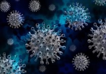 Снижение волны коронавируса и стабильность общей эпидемиологической ситуации в России констатировала во вторник глава Роспотребнадзора Анна Попова