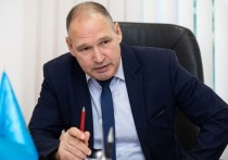Геннадий Сараев возглавил Координационный совет Уполномоченных по правам ребенка по Северо-западному федеральному округу