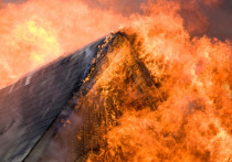 Семейная пара сгорела в пожаре в Лужском районе. Об этом сообщил источник в правоохранительных органах.