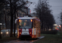 Опубликован график работы общественного транспорта Петербурга в период с 30 декабря по 9 января. Об этом сообщили в пресс-службе комитета по транспорту.