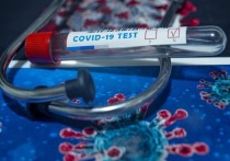 Минздрав ДНР сообщил, что по данным на 30 декабря в Республике зафиксировано 224 новых случая заражения коронавирусной инфекцией