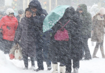 Комплекс городского хозяйства Москвы предупредил, что на столицу движется сильный снегопад