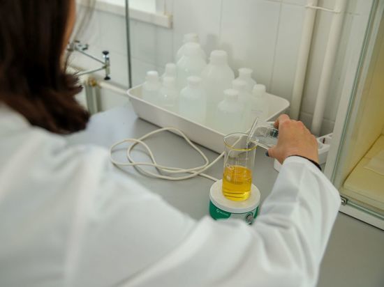 Для новых открытий: как в России работают молодежные лаборатории