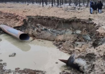 Авария на газопроводе в Ленинградской области под Всеволожском сразу же вызвала широкий резонанс в средствах массовой информации