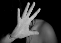 Расследование уголовного дела, возбужденного по статье «Убийство, сопряженное с насильственными действиями сексуального характера», в Гатчинском районе Ленобласти началось осенью 2003 года