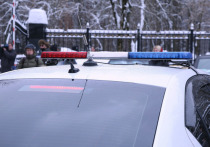Погибший в ночной аварии на Ленинградском шоссе вместе с пассажиркой 17-летний водитель «Пежо» ехал с явным превышением скорости