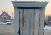 6 декабря депутат горсовета Новосибирска опубликовала фото деревянного туалета и отчиталась: «Туалет на конечной автобусной остановке отремонтирован