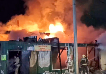 Ужасный пожар в социальном приюте в пригороде Кемерова унес жизни 22 постояльцев, еще 6 получили ожоги, двое в тяжелом состоянии