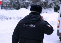 В Екатеринбурге произошло немыслимое преступление: мать задушила троих своих детей, двоих мальчиков 10 и 15 лет, и 5-месячную девочку