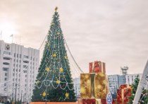 На центральной площади Хабаровска установили новую елку с символикой грядущего 165-летия краевой столицы, сообщили в пресс-службе мэрии города