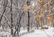 В Комсомольске-на-Амуре начался смотр-конкурс «Зимняя фантазия»