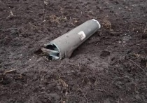 ТГ-канал «Белорусский силовик» опубликовал фотографии украинской ракеты С-300, куски которой упали в Ивановском районе республики, который находится в непосредственной близости с Украиной