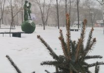 Как сообщили в «Дальневосточном УГМС», 30 декабря в Хабаровске без существенных осадков, ночью -16 -18, днем -11 -13, ветер юго-западный, 5-10 м/с