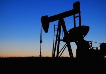Управление по контролю за иностранными активами министерства финансов США (OFAC) опубликовало предварительное руководство по реализации механизма price cap (потолок цен) в отношении нефти из России