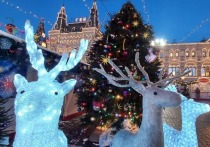 Мужчина попытался облить бензином и поджечь новогоднюю ель на Красной площади в Москве