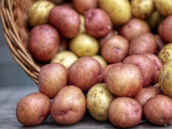 Когда картофель становится токсичным для человека продуктом, рассказала врач