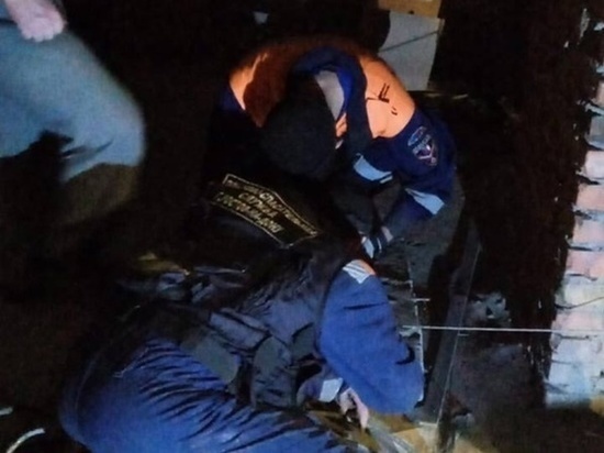 В Ростове спасатели достали той-терьера из вентиляционной шахты