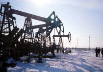 1 февраля вступил в силу указ президента о противодействии санкционному «потолку» цен на нефть и нефтепродукты из России