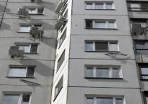 С девятого этажа выкинул собаку на глазах детей местный житель в подмосковном Подольске 1 февраля
