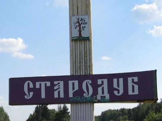 Стародубский округ Брянской области вновь подвергся атаке ВСУ