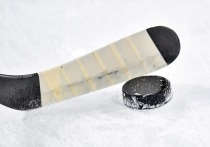 Комиссар НХЛ Гэри Беттмэн прокомментировал заявления олимпийского чемпиона в составе сборной Чехии вратаря Доминика Гашека, касательно политики хоккейной лиги в отношении игроков из России