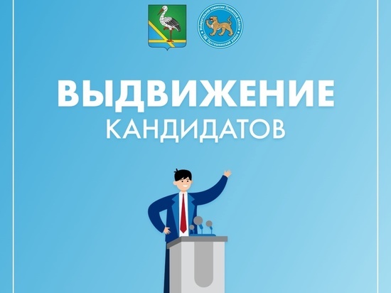 До 2 марта претенденты на пост главы Пустошкинского района могут выдвинуть свою кандидатуру