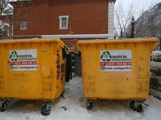 Власти не утвердили лишение «Экологии Новосибирск» статуса регоператора