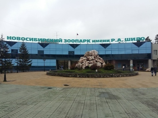 Новосибирский зоопарк повысит цену входного билета до 500 рублей