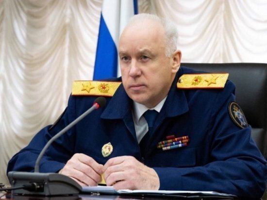 Глава СК Александр Бастрыкин взял на контроль вырубку леса в Нижней Ельцовке в Новосибирске
