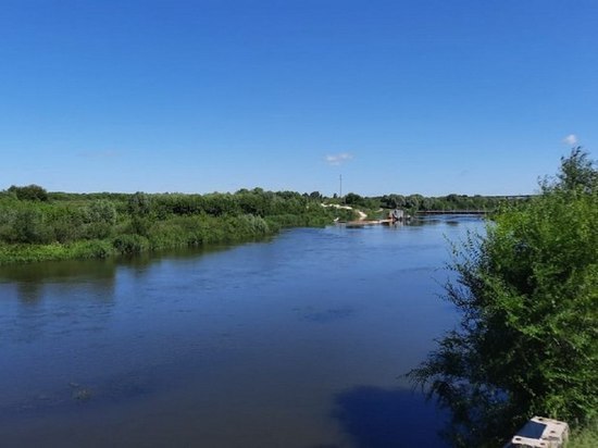 В Воронеже директора фирмы поместили под домашний арест за махинации при расчистке реки Икорец