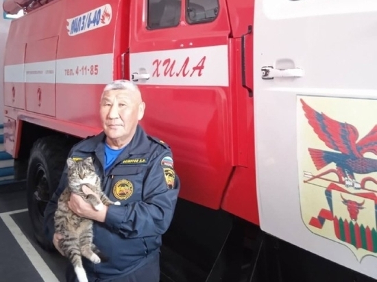 Пожарные в Забайкалье спасли сбитого машиной котёнка