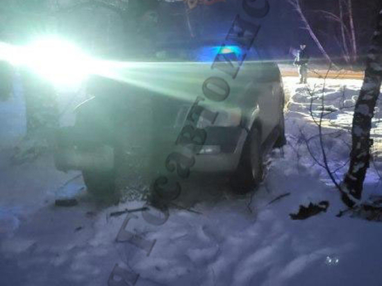 Автоледи на "Ford" врезалась в дерево под Тулой: все пассажиры госпитализированы