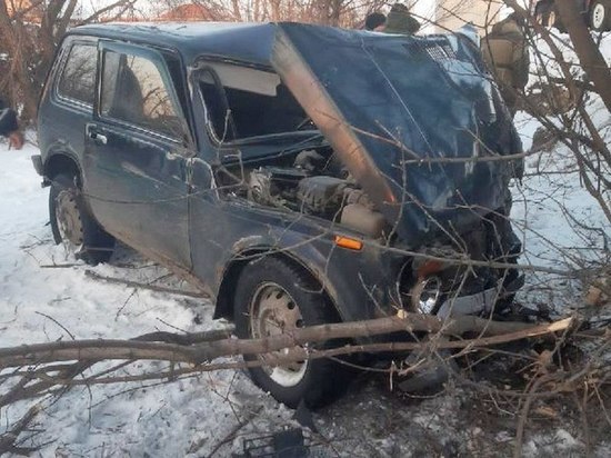 Под Воронежем из-за пьяной езды двух человек отправили в больницу после столкновения с деревом
