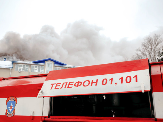 При пожаре в Тверской области пострадал только мусор