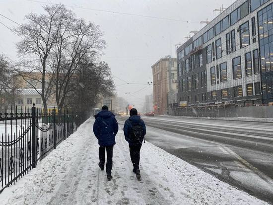 «Желтый» уровень опасности объявили в Петербурге на 9 февраля из-за сильного ветра