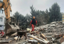 Гонка со временем – так характеризуют специалисты попытки спасателей найти в развалинах людей, выживших после катастрофического землетрясения в Турции и Сирии