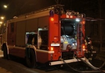 Пожар случился под утро 28 февраля в трехкомнатной квартире дома в Кировском районе Петербурга. На месте происшествия спасатели нашли погибшую женщину.