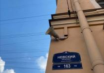В Петербурге 1 марта пройдет комплексная проверка систем оповещения населения о ЧС. Об этом петербуржцам напомнили в пресс-службе Смольного.