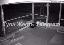 В телеграм-канале "Тула Жесть" опубликовали якобы момент взрыва в Киреевском районе