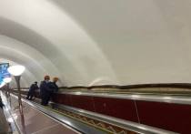 Запланированные ограничения на станции метро «Черная речка» вступили в силу с 21 марта. Об этом рассказали в пресс-службе петербургской подземки.
