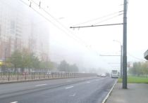 Во время тумана снижается видимость, поэтому риск возникновения ДПТ растет. Россиянам рассказали о правилах управления авто в таких погодных условиях.