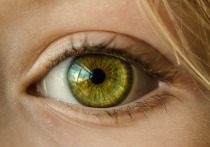 Американские ученые нашли способ диагностировать болезнь Альцгеймера по глазам. Для этого медики проводят осмотр.