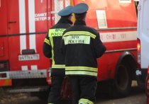 Спасатели более получаса тушили огонь в сарае на Окраинной улице. Об этом сообщили в пресс-службе ГУ МЧС по Петербургу.