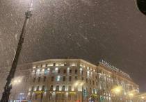 Атмосферный фронт сформирует в Петербурге погоду 29 марта. Как сообщил ведущий специалист центра «Фобос» Михаил Леус, в течение дня будет облачно и ожидаются осадки в виде снега и мокрого снега.
