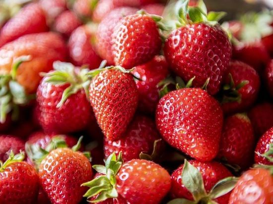 Чем подкормить весной клубнику: размер ягод вас сильно поразит