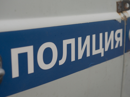 Полицейские в Егорьевске задержали двух педофилов, совершивших развратные действия с 12-летней школьницей